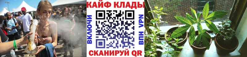 Продажа наркотиков Бугуруслан Псилоцибиновые грибы  Cocaine  Героин  МЕФ  ГАШ  Канабис  A PVP 