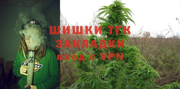 амф Арсеньев